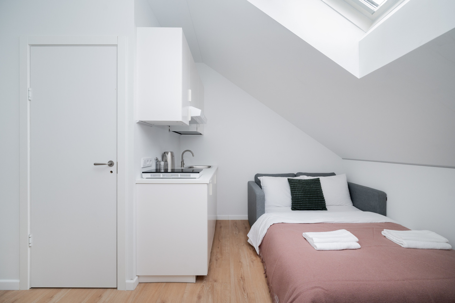 Bedroom with kitchenette and skylight