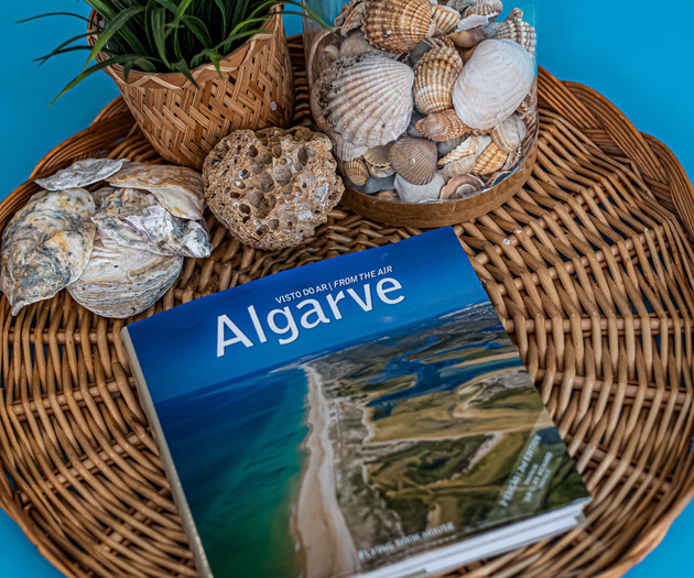 3 Castelos - BeachFront | Fibre & WI-FI6