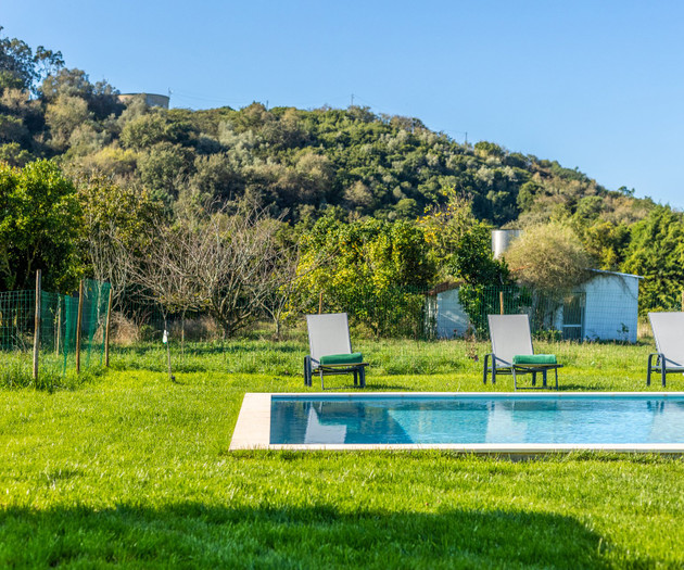 Perfect house private pool and garden in nazaré