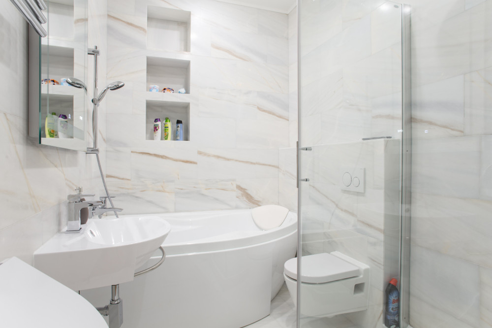 2bds flat in Neklanova, Vysehrad
