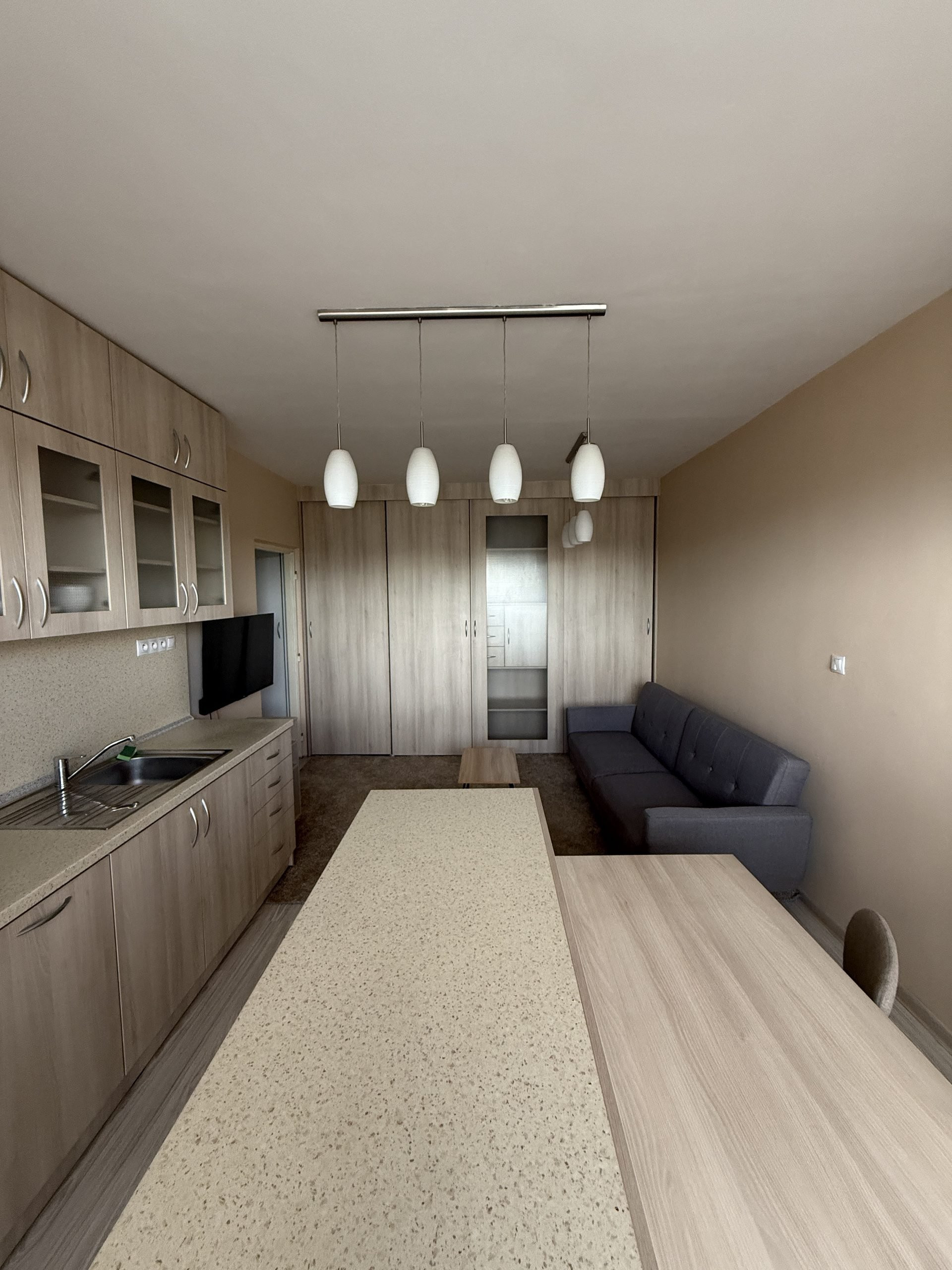 Open kitchen living area with sofa