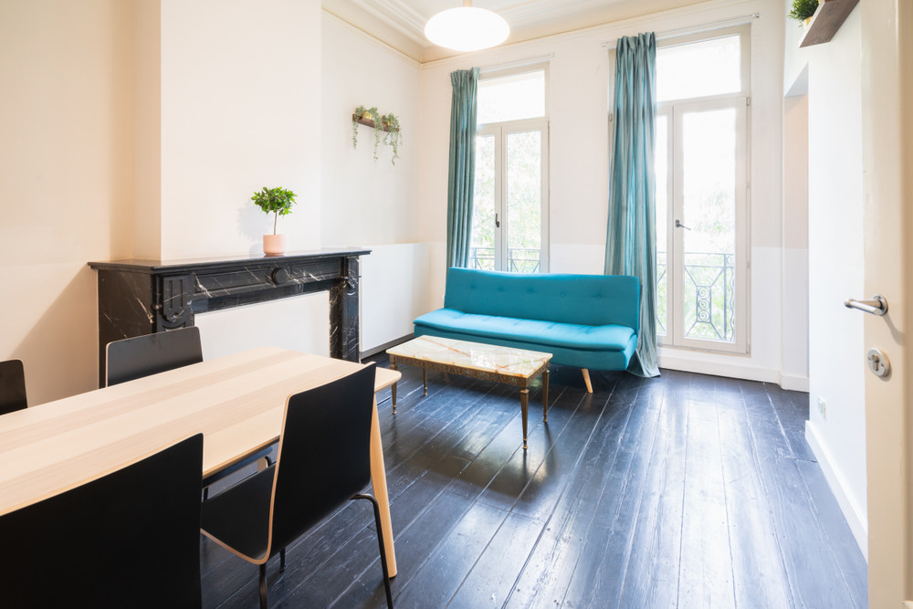 Spacious Furnished Apartment in Historic Antwerp 2 preview