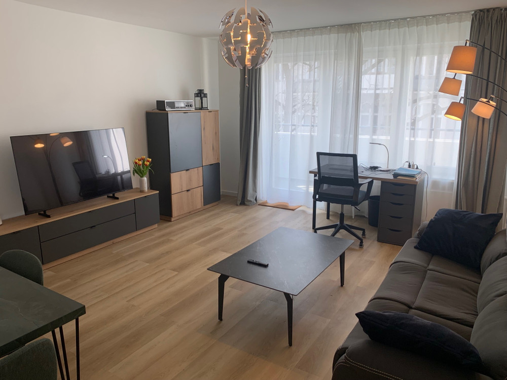 Spacious, bright, and cozy two-room apartment preview