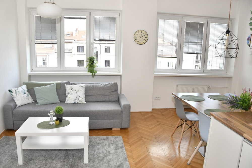 modern apartment 3+kk, centre of Prague, Vysehrad preview