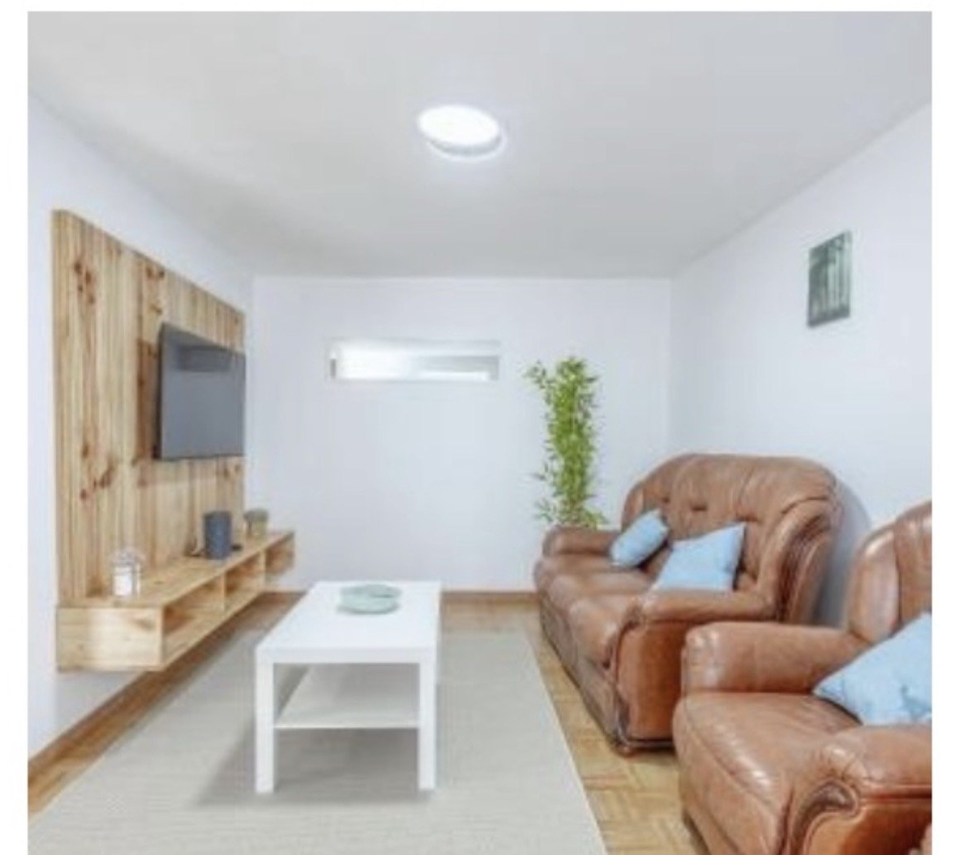 Living room with leather sofas