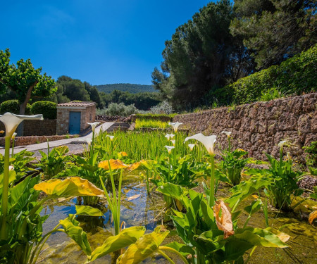 Cubo's Villa El Tejar