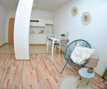 Separate sunny apartment near the centre of Brno