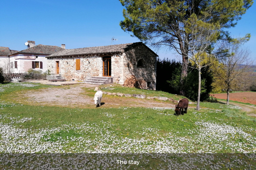 Authentic French Guesthouse - Double room 2