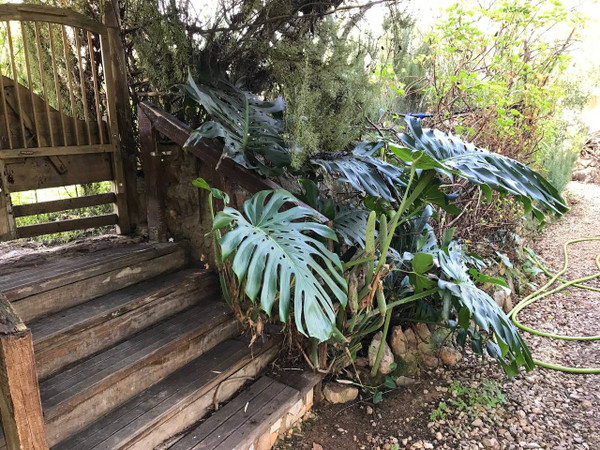 Jardín