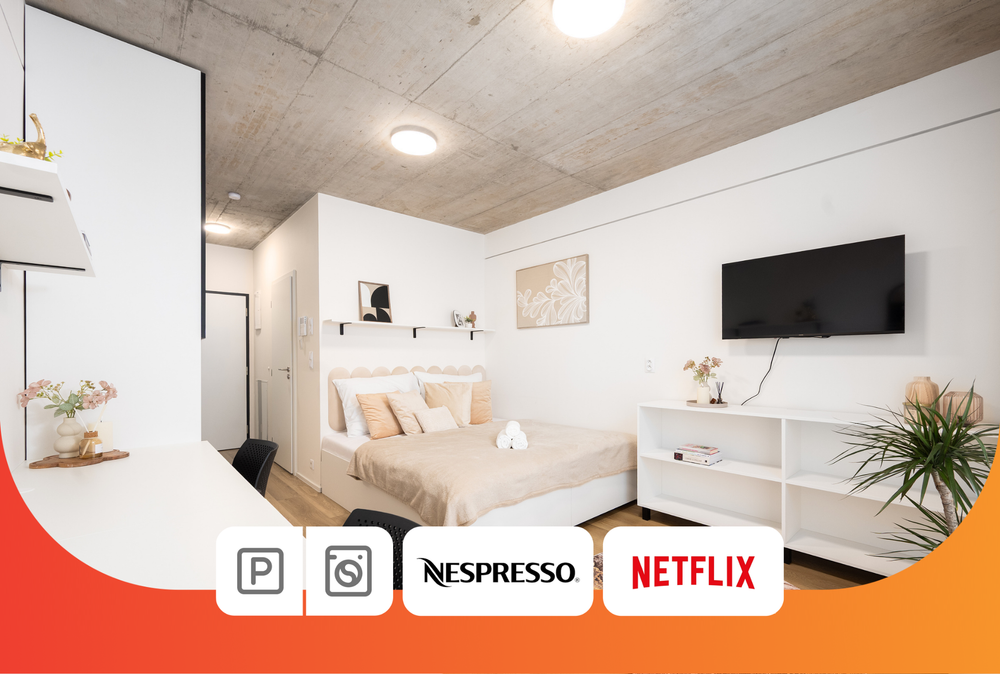 Internesto Brno HUB 4.1 - 4.2 preview
