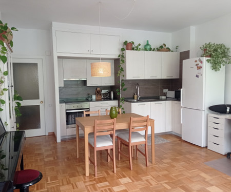 Bright apartment with trees in Barcelona