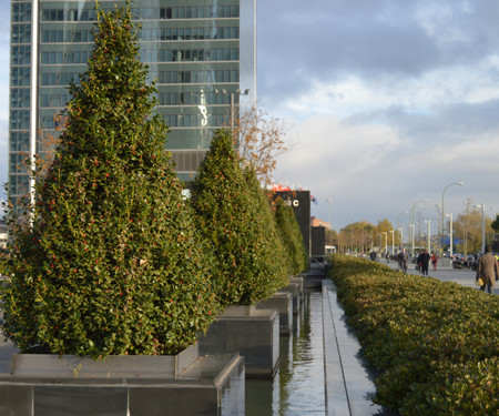 Paseo de la Castellana Deluxe