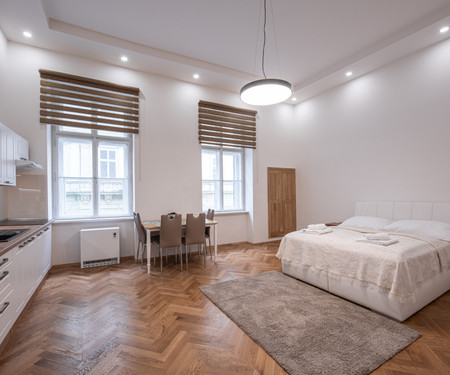 Newly renovated apartment in the center of Prague