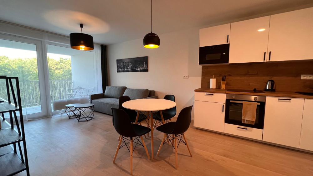1 bedroom Apartment with terrace, Ivanska Cesta preview