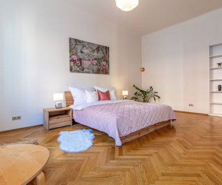 Modern Apartment in center of Bratislava