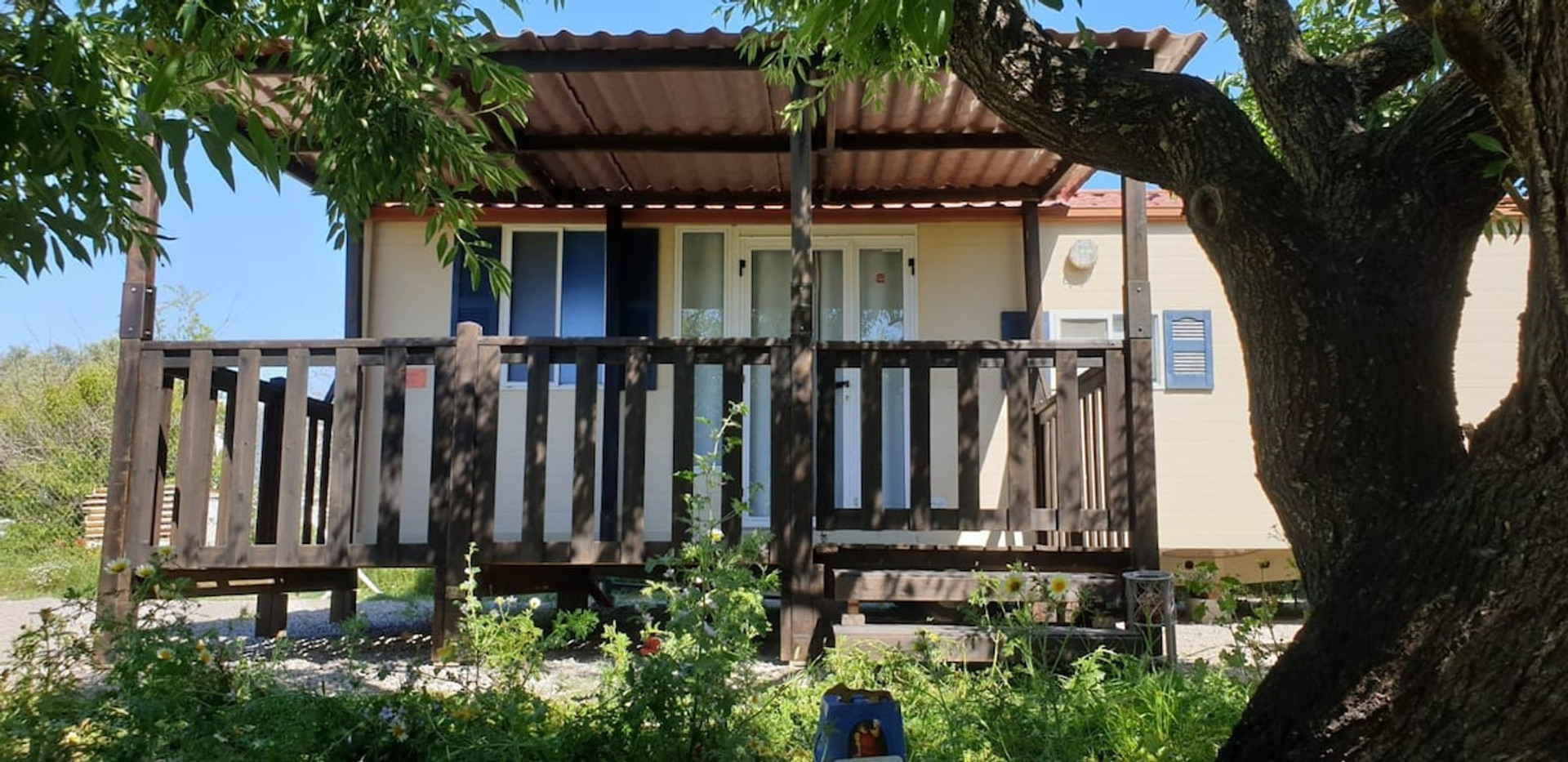 Stunning Tiny House - Mobil Casa - hiding between the trees of Almond, Aliso, Enerbo, Maple, Olive & Lemon. Pet Friendly - Chiclana de la Frontera, Cádiz, Spain