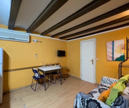 -1 bedroom apartment Barcelona Sant Antoni