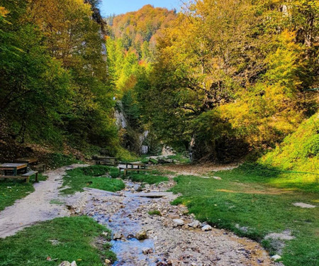 Cheerful/PATIO/Hiking trails & Old Town