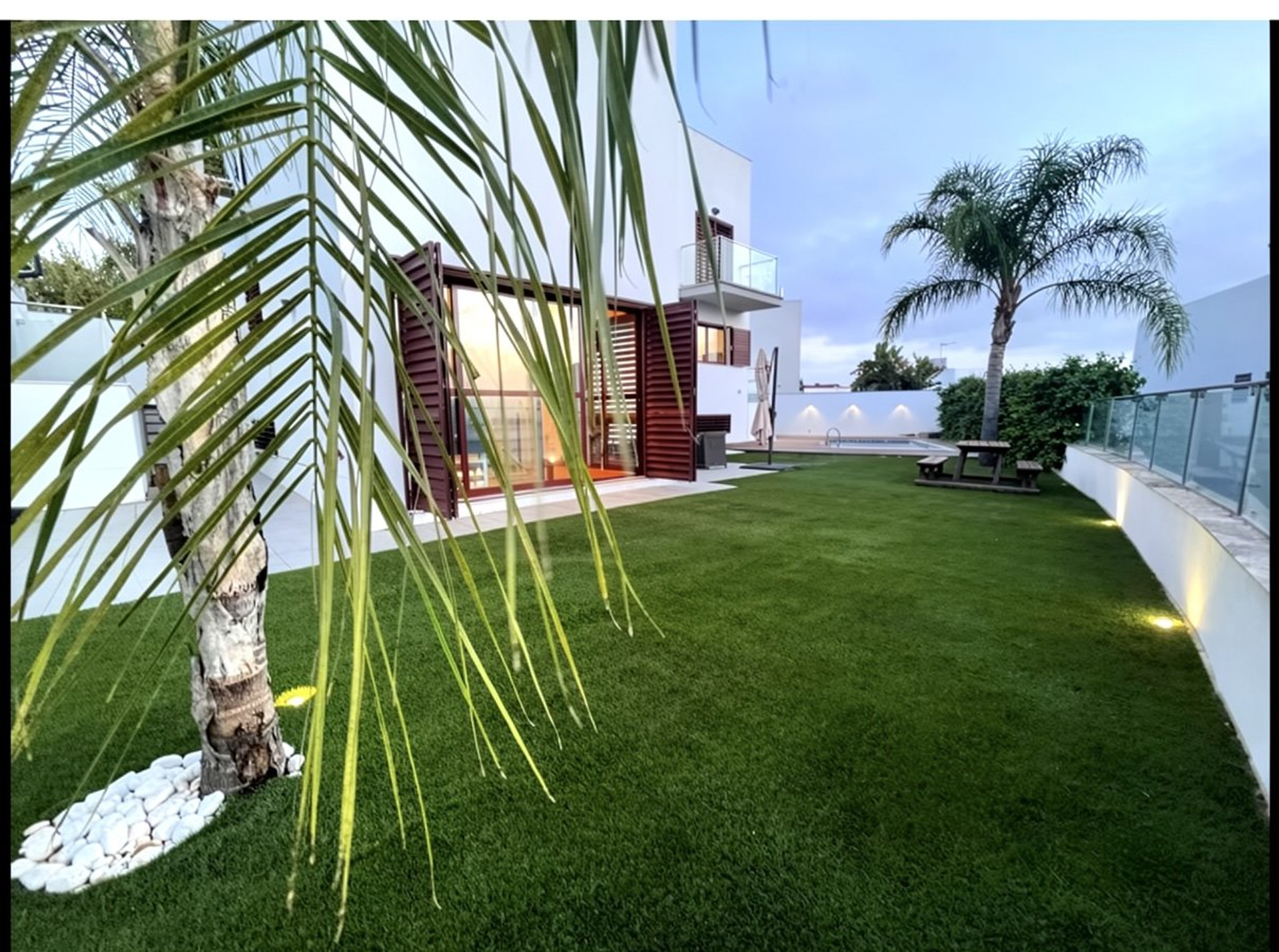 Garden with palm and pool dusk