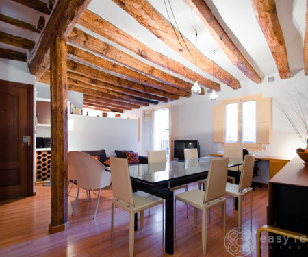 Charming Loft, fully renovated